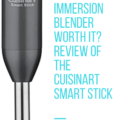 Cuisinart Smart Stick Review