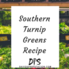 Southern Turnip Greens Recipe