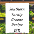 Southern Turnip Greens Recipe