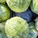 Southern fried cabbage with bacon.