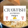 Crawfish Alfredo Recipe