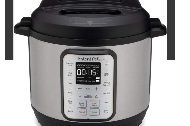 Instant Pot Duo Plus Review