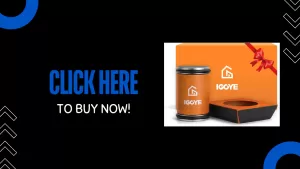 Igoye rolling knife sharpener